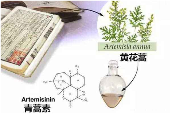 安博体育平台,安博体育（中国）：向中医药看齐，与世界共享中医药文化(图1)